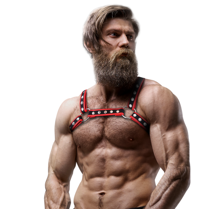 Fetish Submissive Attitude - Peitoral De Couro Ecológico Masculino Bulldog Arnês Preto/Vermelho - Image 4